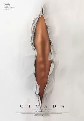 蝉蜕海报