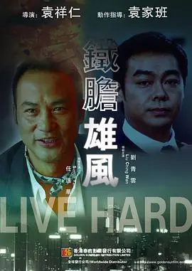 铁胆雄风(原声版)海报