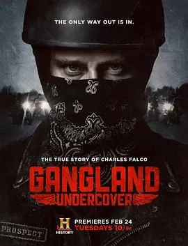 黑帮卧底第一季海报