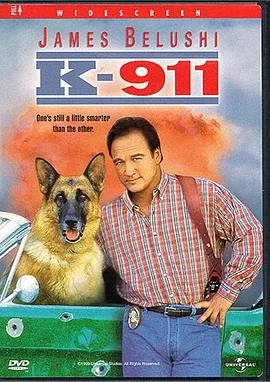 妙探狗福星2海报