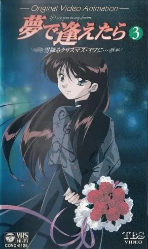 如果在梦里遇见你OVA海报