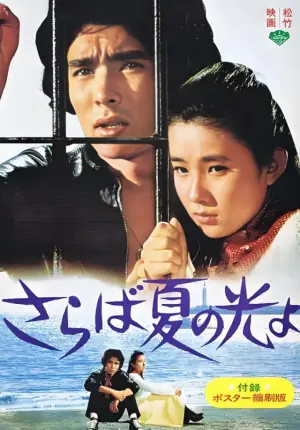 再见,夏日之光海报