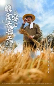 粮食安全大如天海报