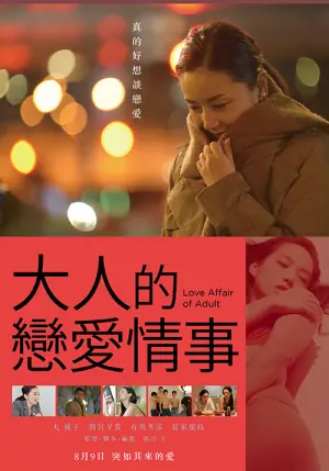大人的恋爱情事海报