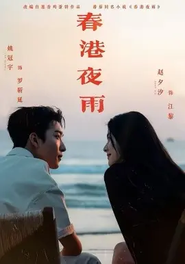 春港夜雨海报