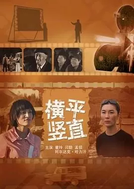 横平竖直[电影解说]海报