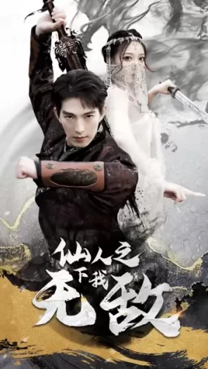 仙人之下我无敌海报