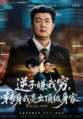 逆子嫌我穷,转身我亮出顶级身家海报