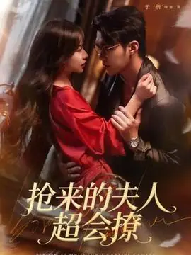 抢来的夫人超会撩海报