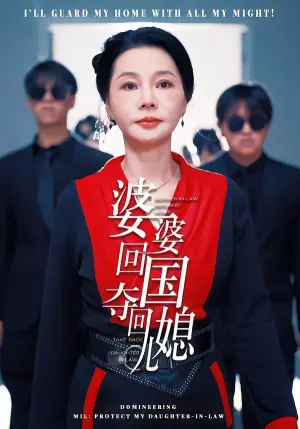 婆婆回国,夺回儿媳海报