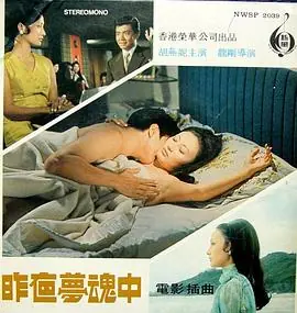 昨夜梦魂中海报