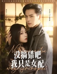 没搞错吧我只是女配海报