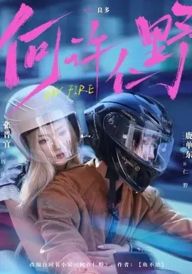何许仁野海报