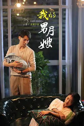 我的男月嫂海报