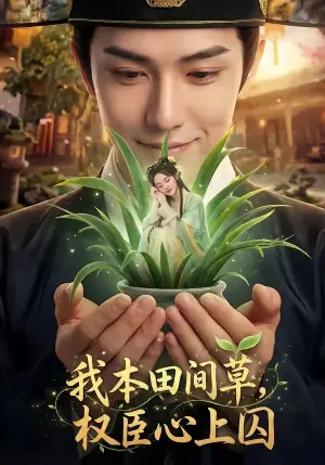 我本田间草,权臣心上囚海报