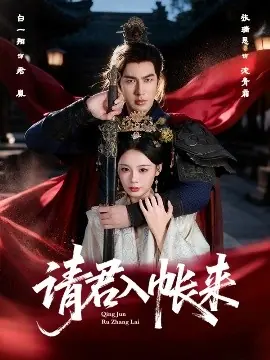 请君入帐来海报