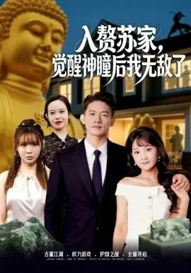 赘苏家,觉醒神瞳后我无敌了海报