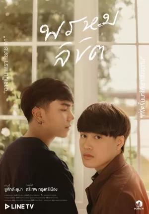 我的命运(我的心房2)海报