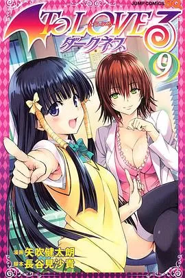 出包王女DarknessOAD4海报