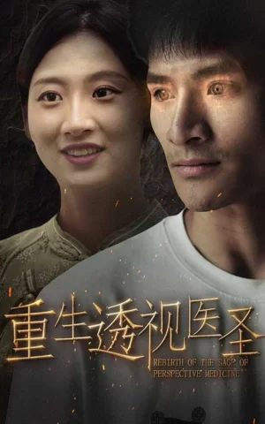重生透视医圣海报