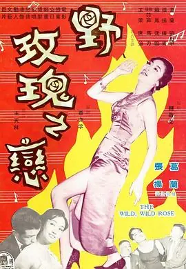 野玫瑰之恋海报