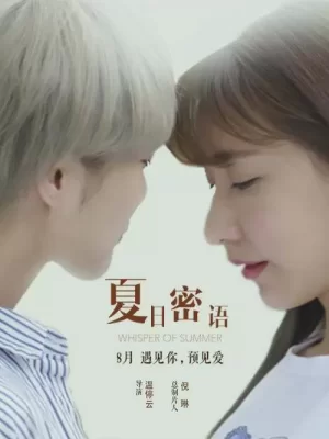 夏日密语海报