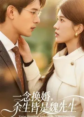 一念换婚,余生皆是魏先生海报