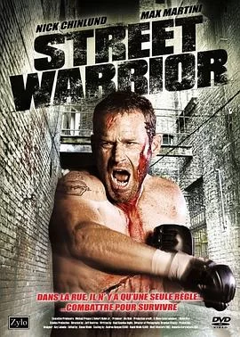 街头战士(国语)海报