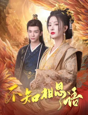不知相思语风起相府海报