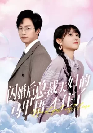 闪婚后总裁夫妇的马甲捂不住了海报