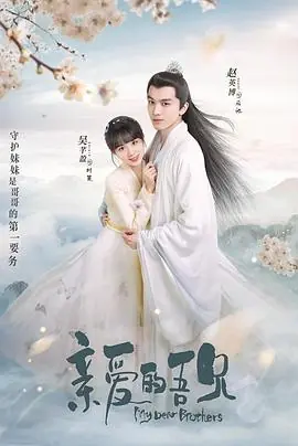 亲爱的吾兄海报