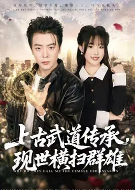 上古武道传承,现世横扫群雄海报