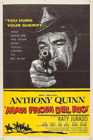 龙城金枪将海报