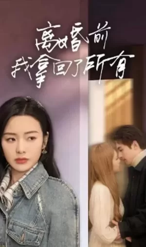 离婚前我拿回了所有海报