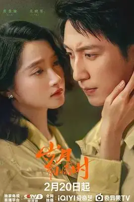 岁月有情时海报