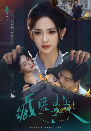 藏匿星光海报