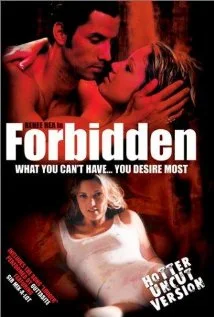 背德看护妇海报