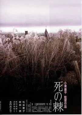 死之棘海报