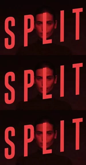 分裂第一季海报