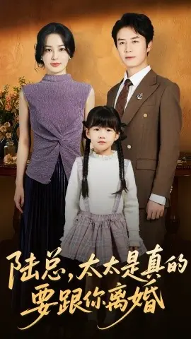 陆总太太是真的要跟你离婚海报