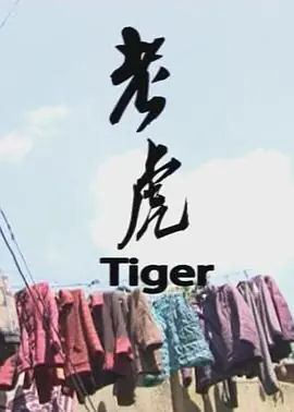 老虎海报