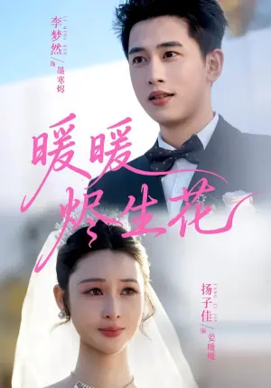 暖暖烬生花海报