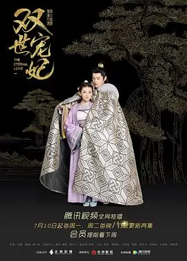 双世宠妃第一季海报