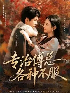 专治傅总各种不服海报