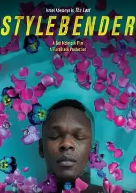 风格弯曲者海报