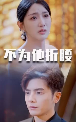 不为他折腰海报