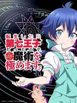 转生为第七王子,随心所欲的魔法学习之路海报