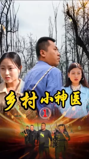 山村妙手医仙海报