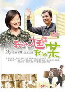 我的尪我的某海报