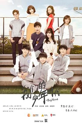 我们的少年时代[DVD版]海报